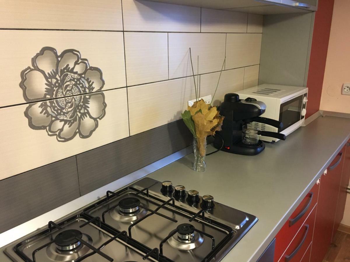 Tîrgu Ocna Apartament Antonia 아파트 외부 사진